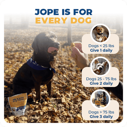 Jope Hip & Joint Dog Chews- 60 Count